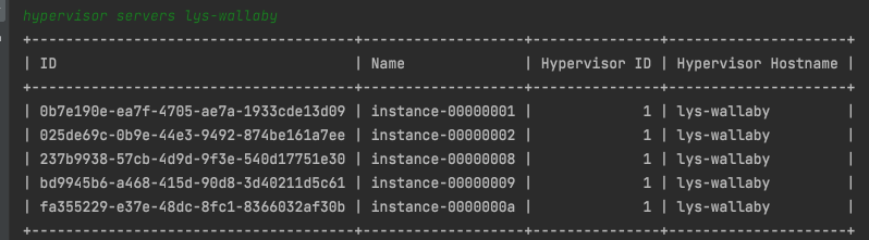 ../../../_images/hypervisor_servers_4.png